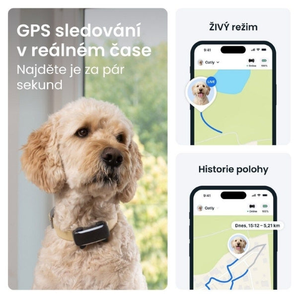 Tractive GPS Dog 6 XL — GPS tracker a monitor zdraví pro psy