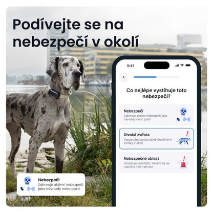 Tractive GPS Dog 6 XL — GPS tracker a monitor zdraví pro psy